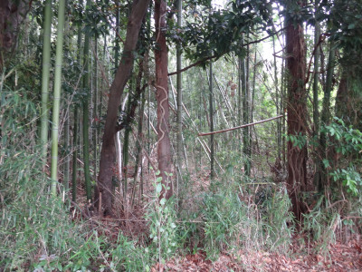 DSC08668