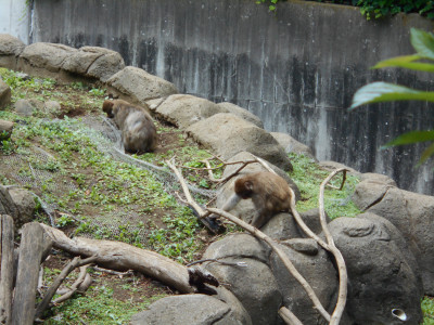 DSCN0195
