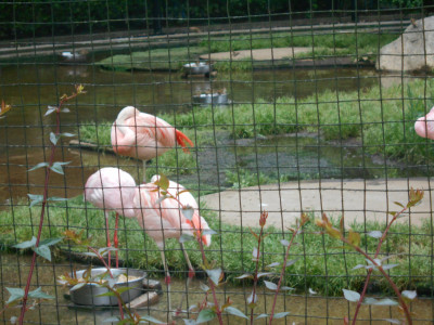 DSCN1934