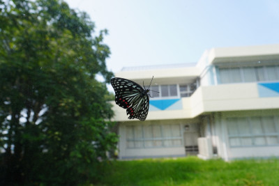 DSC01550