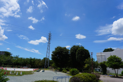 DSC01558