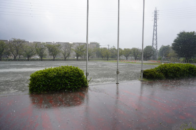 DSC02191