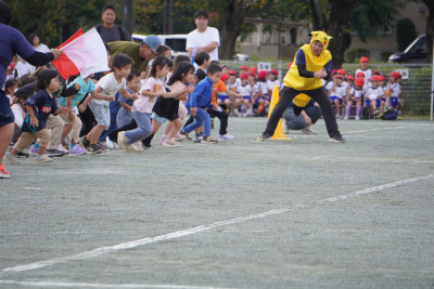 DSC03087