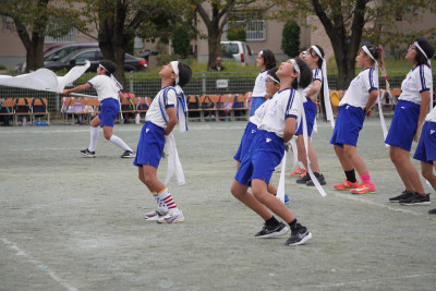 DSC03378