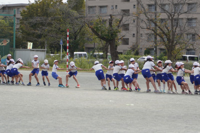 DSC03932