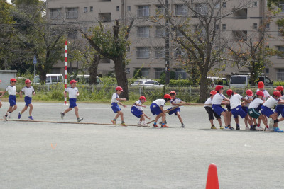 DSC03939